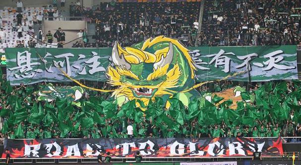 浙江掏违约金砸俩高级货！亚冠跑不了 球迷：黄龙底下挖到石油了插图